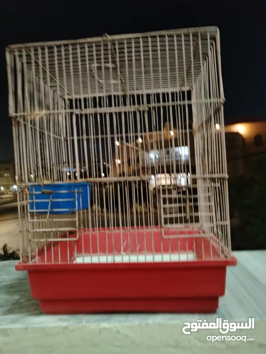قفص عصافير للبيع بسعر مغري