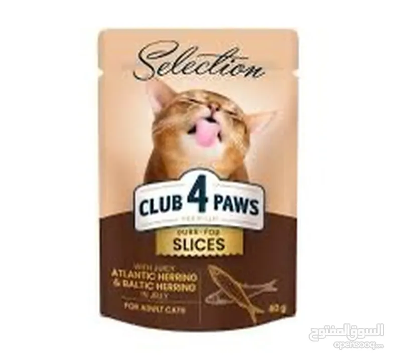 CLUB 4 PAWS   كليب فور باوز