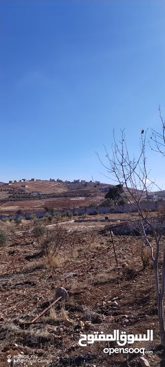 قفقفا 13 دنم منطقة مزارع وشاليهات وطبيعة خلابة مسيجة جدار حجر