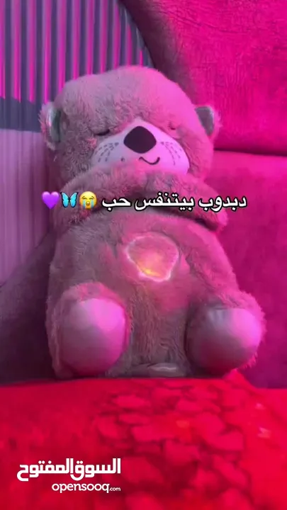 دبدوب الترند يتنفس ويطلع ضوء نوم خفيف في بطنه مع التنفس الصاعد والنازل للبطن