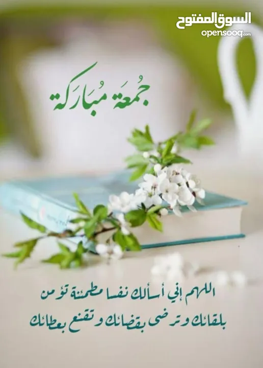 عدة محل دراي كلين للبيع نورڤا اوتوماتيك ايطالي-عصارة حرامات امريكي بابا علوي-غسالة حوضين-غسالتين فل
