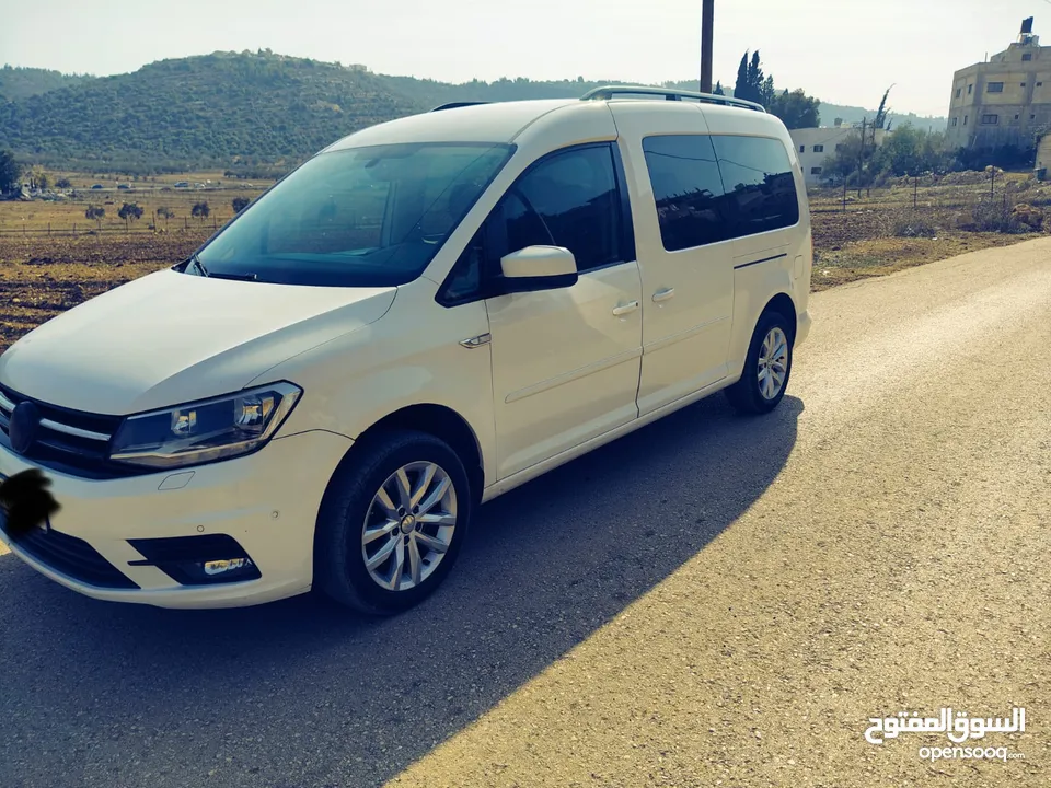 كادي 2020 شصي طويل فحص نخب النخب فل الفل