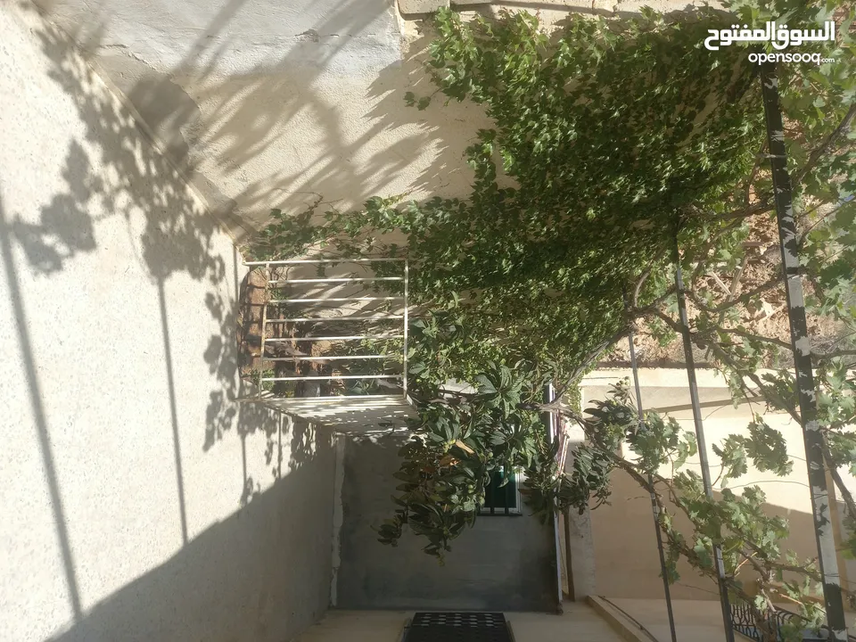 بيت طابق اول مع السطح للبيع من المالك مباشره ماركا الشماليه