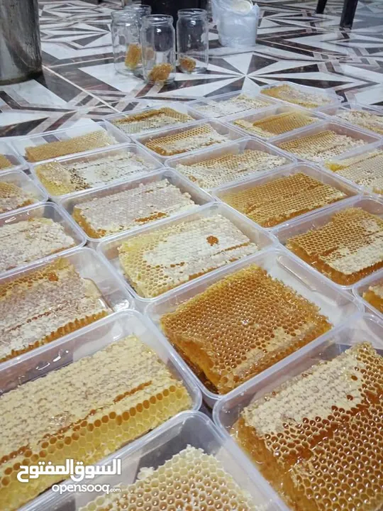 يوجد عسل طبيعي مكفول 100٪ من جبال عجلون _ عرجان