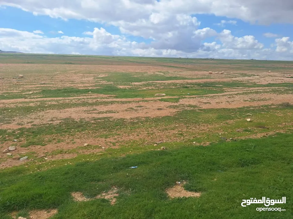 ارض للبيع في المفرق ثغرة الجب