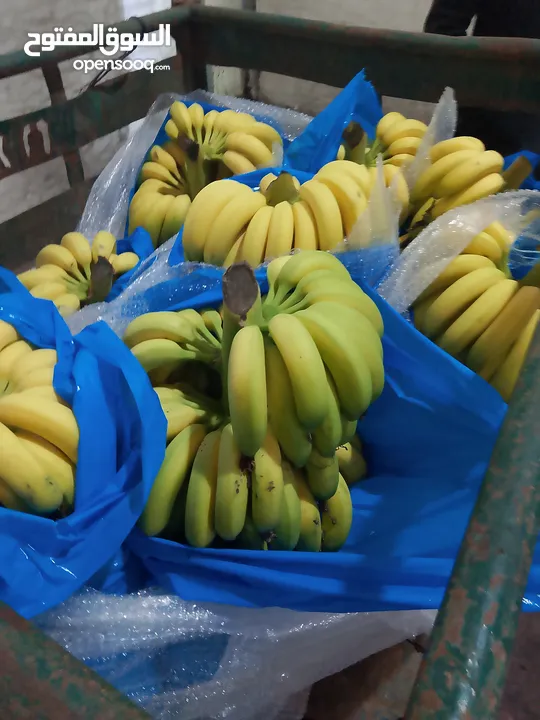 مشروع تجاري مربح بحاجه لتمويل