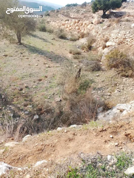 قطعة ارض للبيع