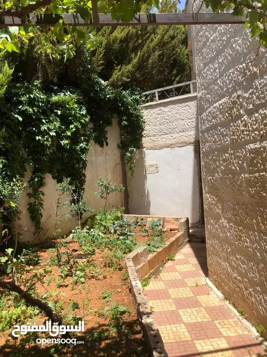 بيت مستقل فارغ للايجار في منطقة الياسمين 140 متر