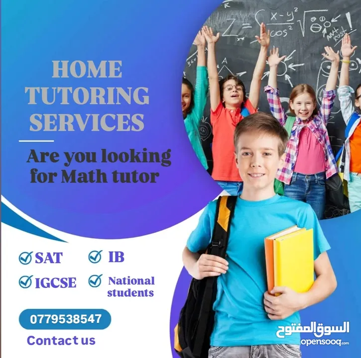 Math & physics teacher IG, AP, EST, SAT