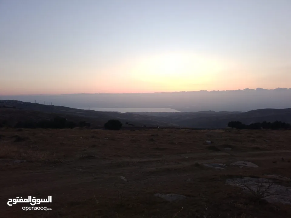 مادبا ماعين المشرفة قطعة ارض زراعية مميزة واصل الخدمات ذات اطلالة على البحر الميت واصل الخدمات