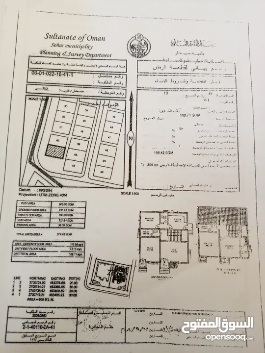 فرصة العمر (فلة من اصل تووين فلة)