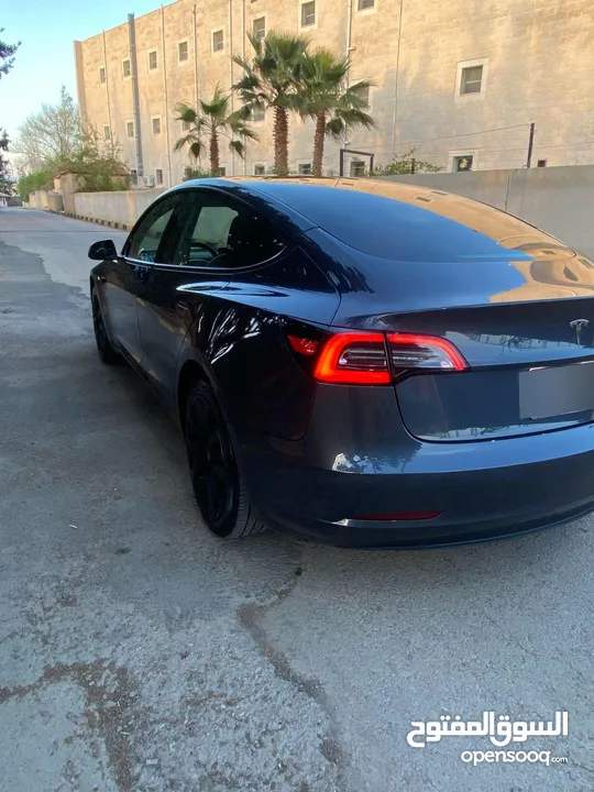 تيسلا مودل 3 استاندر بلس حره 2021 كاش او اقساط