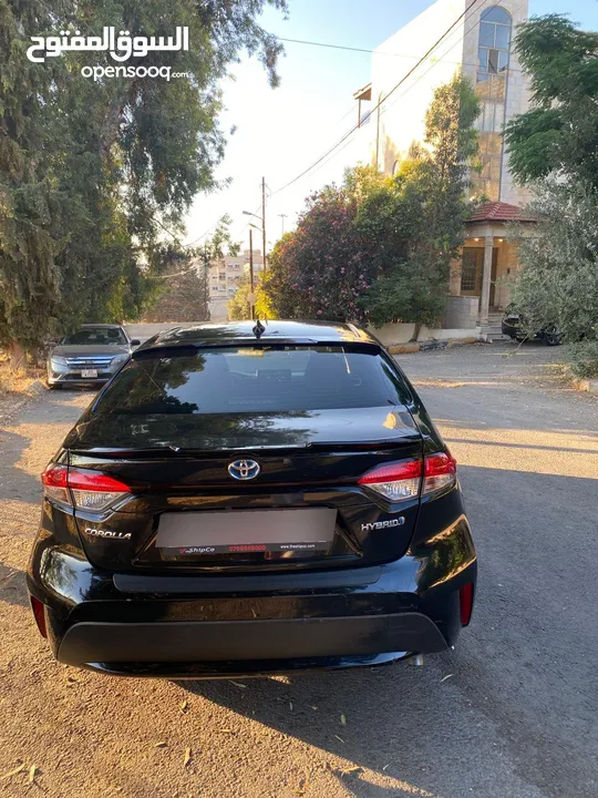 كورولا 2020 هايبرد فحص كامل