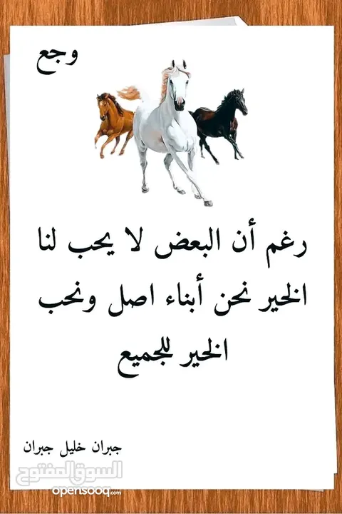 فرصه عظيمة