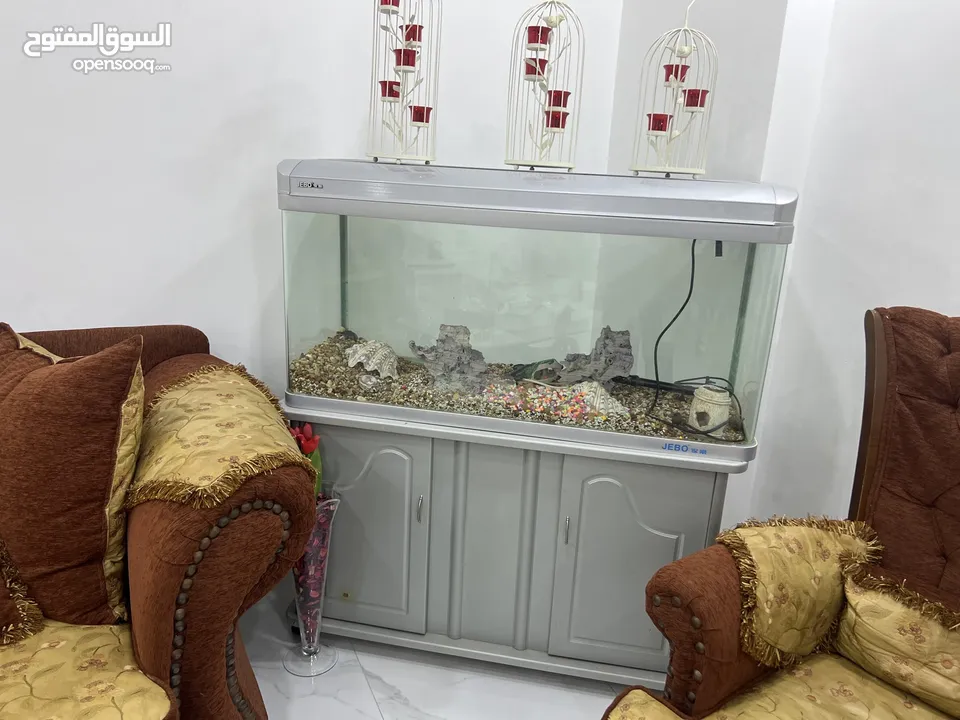 حوض سمك  مستعمل البيع لعدم وجود مساحه