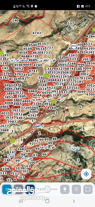 اراضي للبيع في الجلد والرامة والبحر الميت والروضة حوض منسف ابو زيد مطلة ع البحر