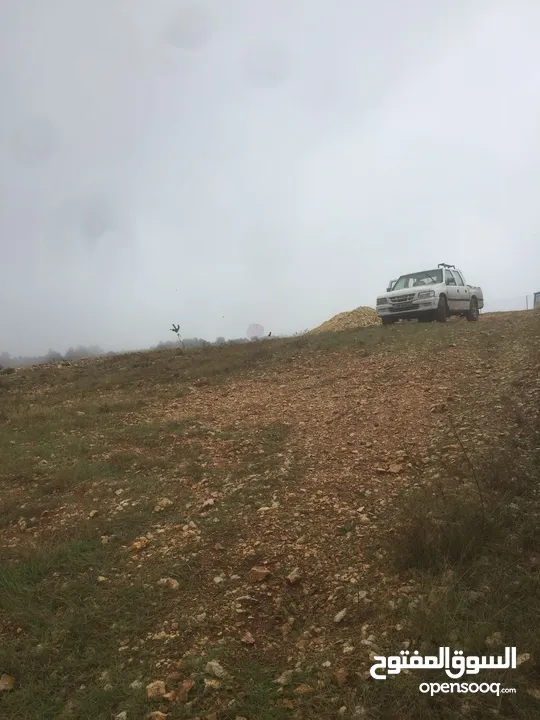 فرصة استثمارية! أرض زراعية مميزة بسعر مغري و بالقرب من أحراش الدولة للمزيد من المعلومات اقرأ الوصف