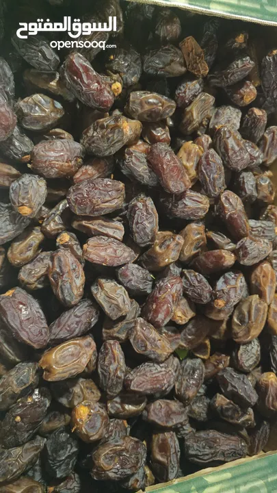 تمر مجهول للبيع بسعر الجمله