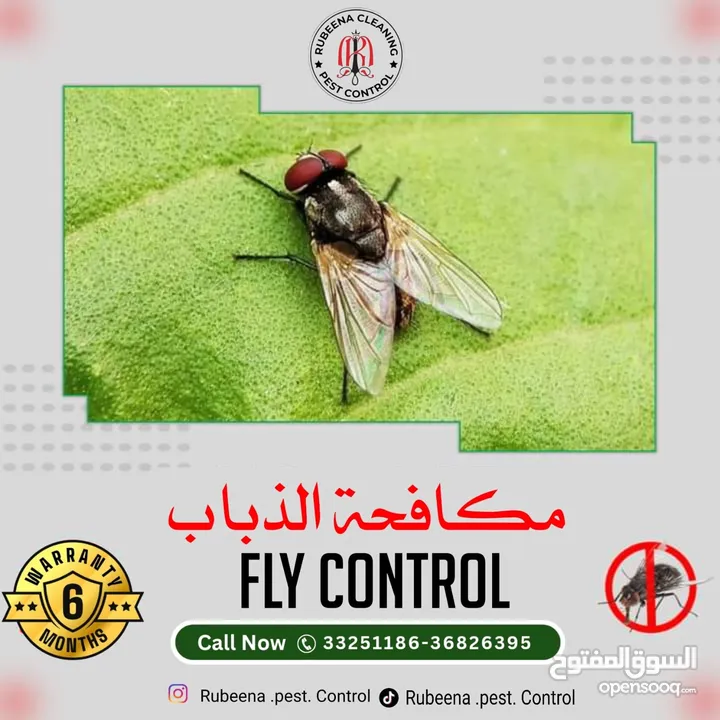 Book your service rubeena pest control special offers just only 18 BD