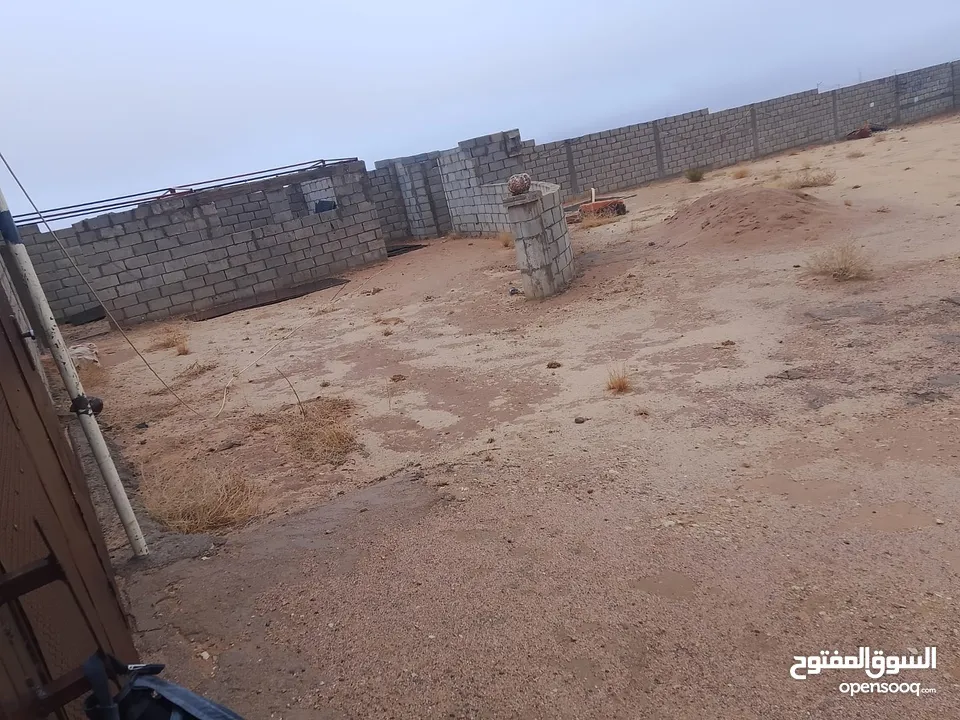 ارض للبيع في دبة حانوت تبعد عن مدينة العقبه 40 دقيقه