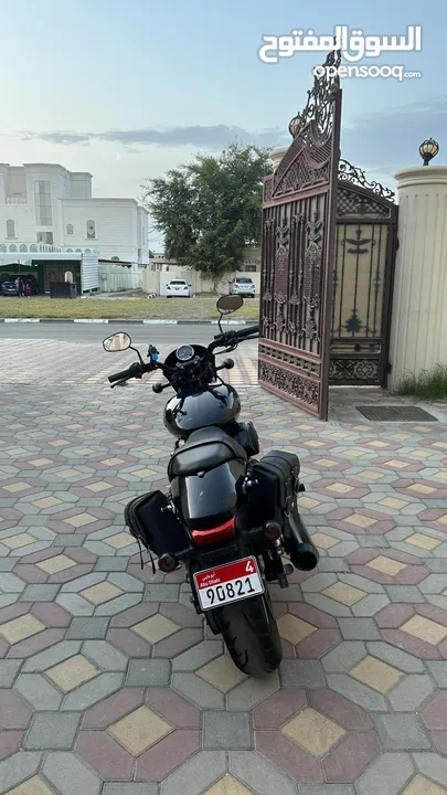 Harley Davidson street 750 / 2018