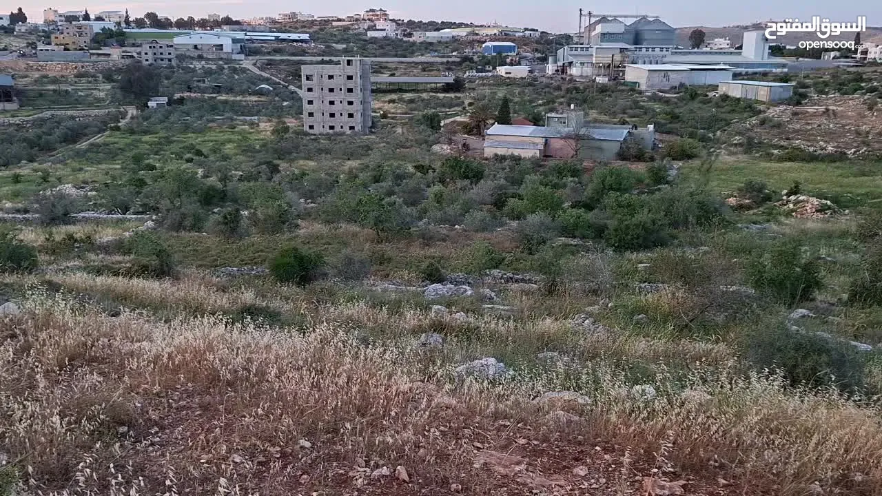 800متر طابوا فلسطيني  -كوشان طابوا -منطقة(B)داخل حدودا البلدية في ارقى منطقة في كفرصور-الكفريات
