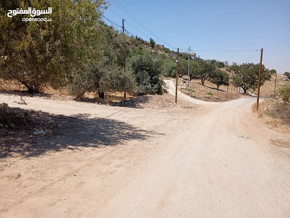 ارض مميزة مطلة ابو السوس غرب عمان عدة قطع في المنطقة.