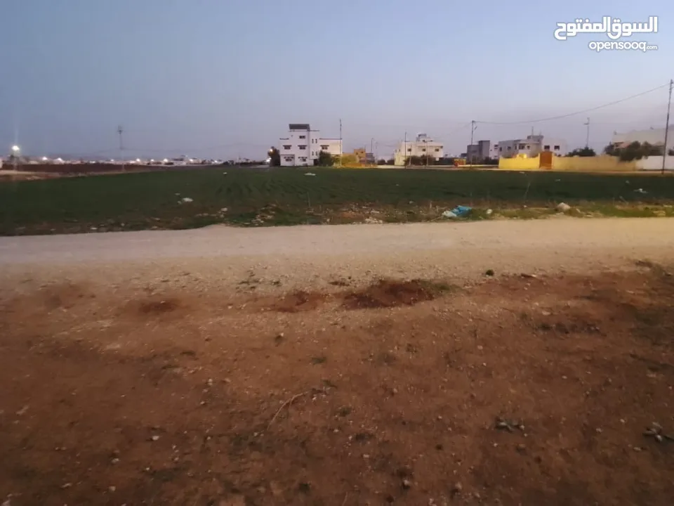 ارض بالرمثا للبيع