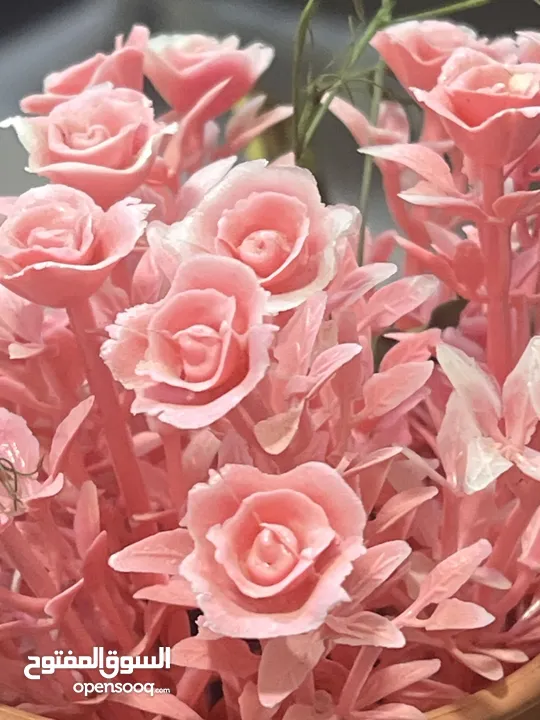 غرفة برايڤت لشخص