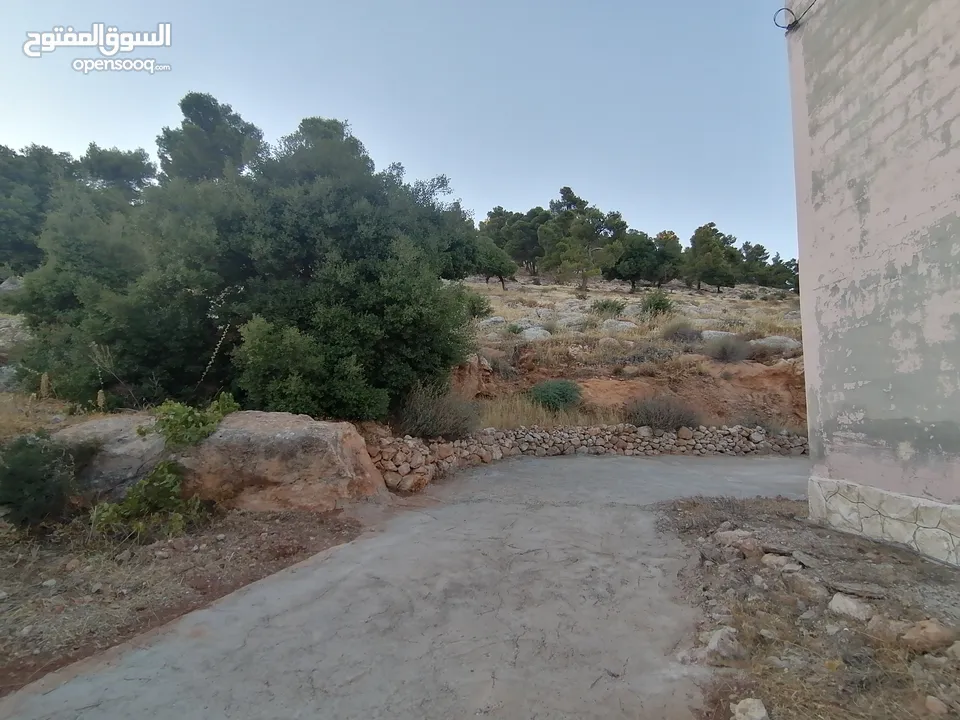 بيت ريفي للبيع في جرش - ثغرة عصفور
