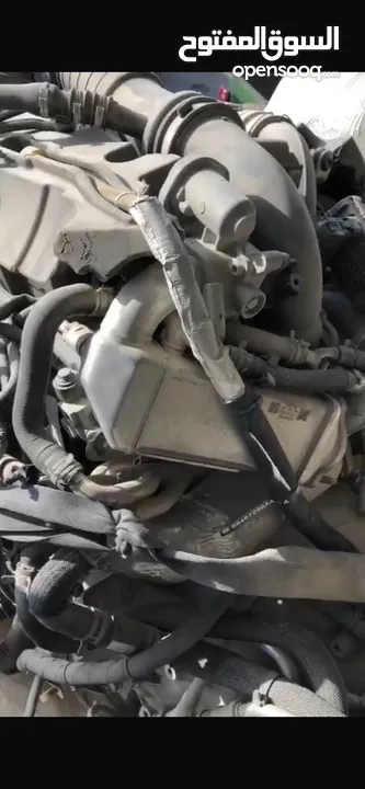 ماتور دج رام 2021