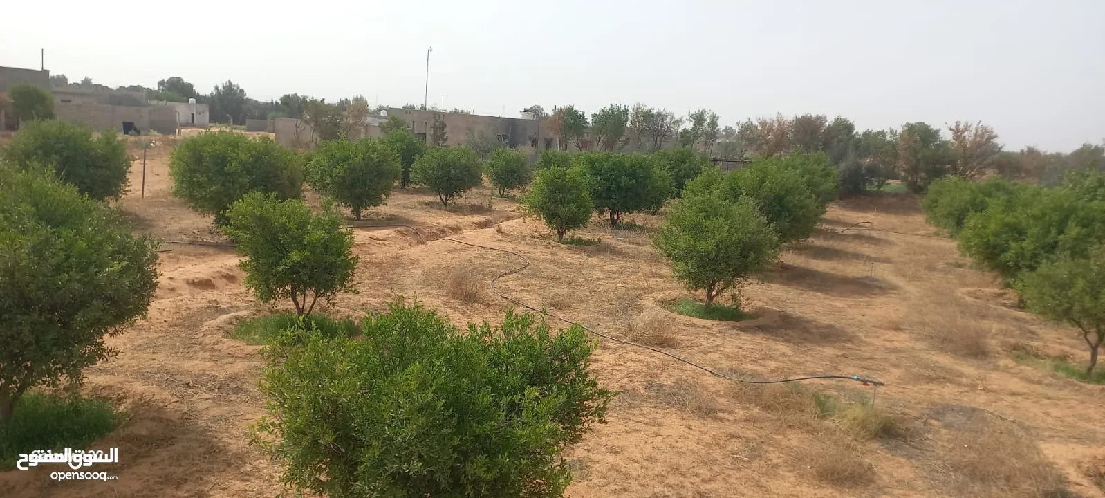 قطعة ارض للبيع، بالقرب من متلت القيو(زراعية او سكنية)