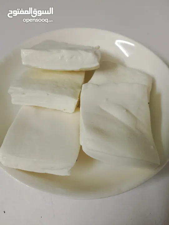 بيع جبنة مشمولة طازج