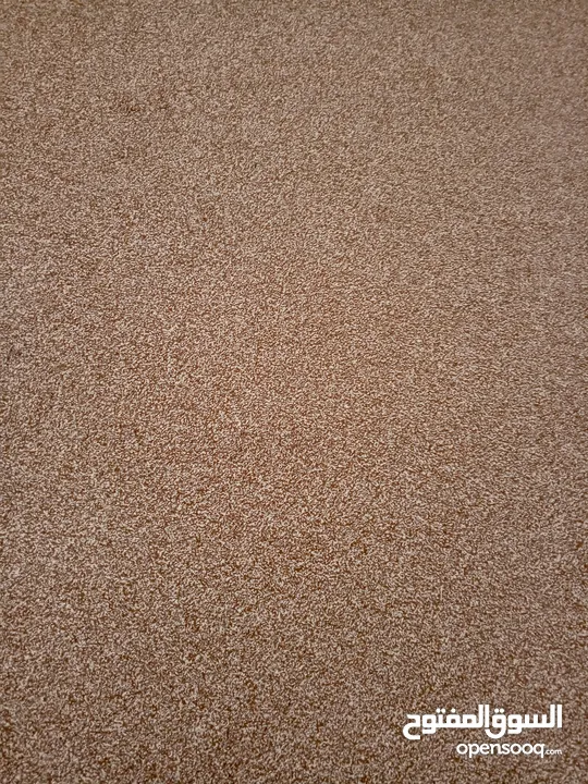 موكيت بحال الجديد