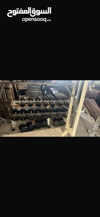 ستاند دمبلز لغاية 30 كيلو بنك صدر مستوي مع بار كرسي باي تكوير