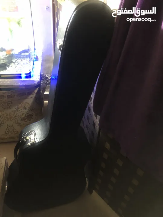 Hard case guitar and guitar