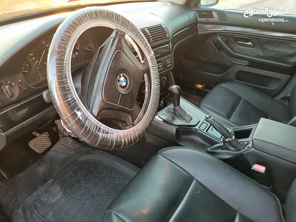 BMW E39الدب