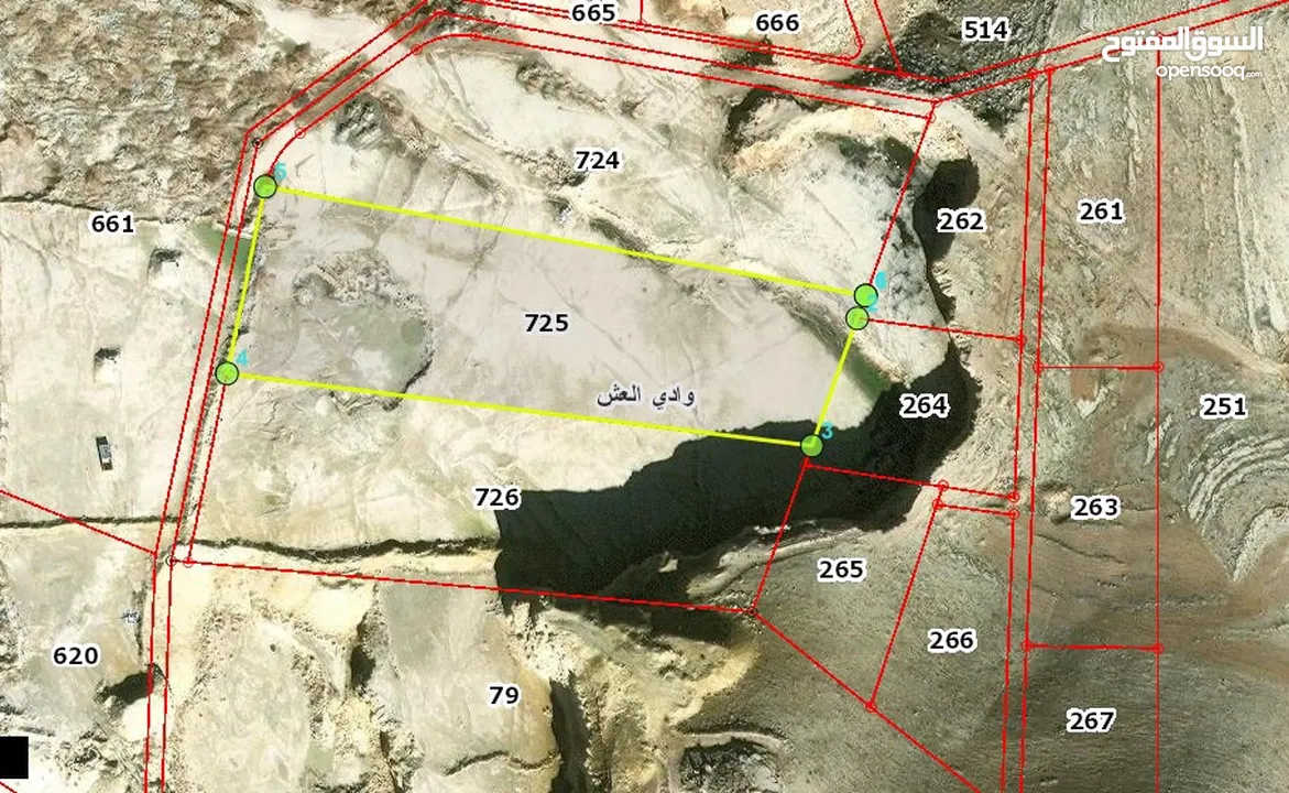 ارض 13 دونم مفروزة للاستثمار في وادي العش
