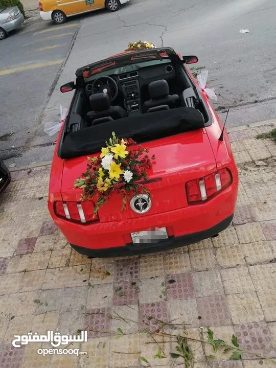 فورد موستينج كشف للأعراس والمناسبات والايام