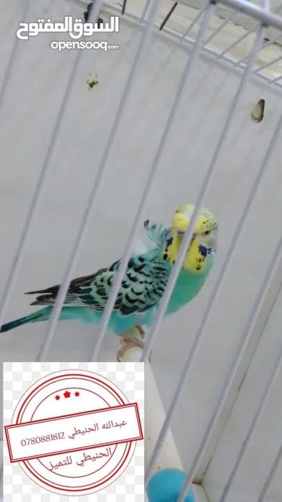 سعر حرققققق