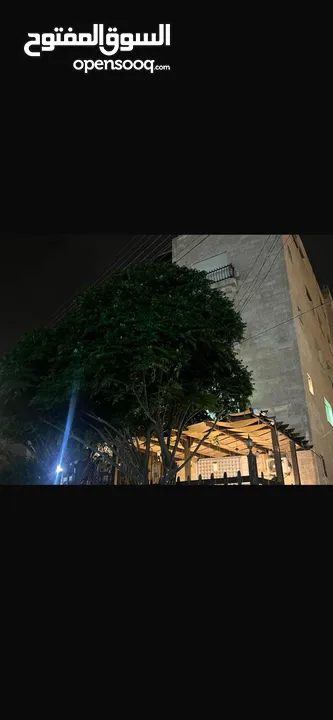 شقه طابق ارضي للبيع البنيات خلف جامعة البترا