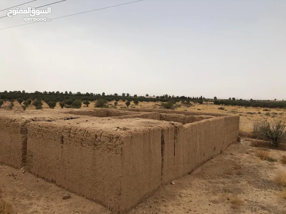 A farm for sale at 25 km from Marrakech