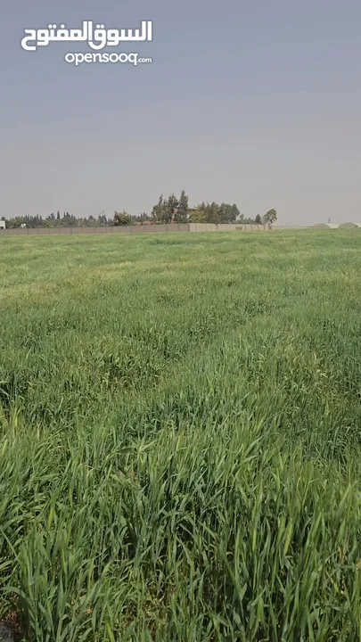 للبيع قطعة أرض 3.8 دونم في اللبن القليب قرب مشروع اعمار من المالك مباشره