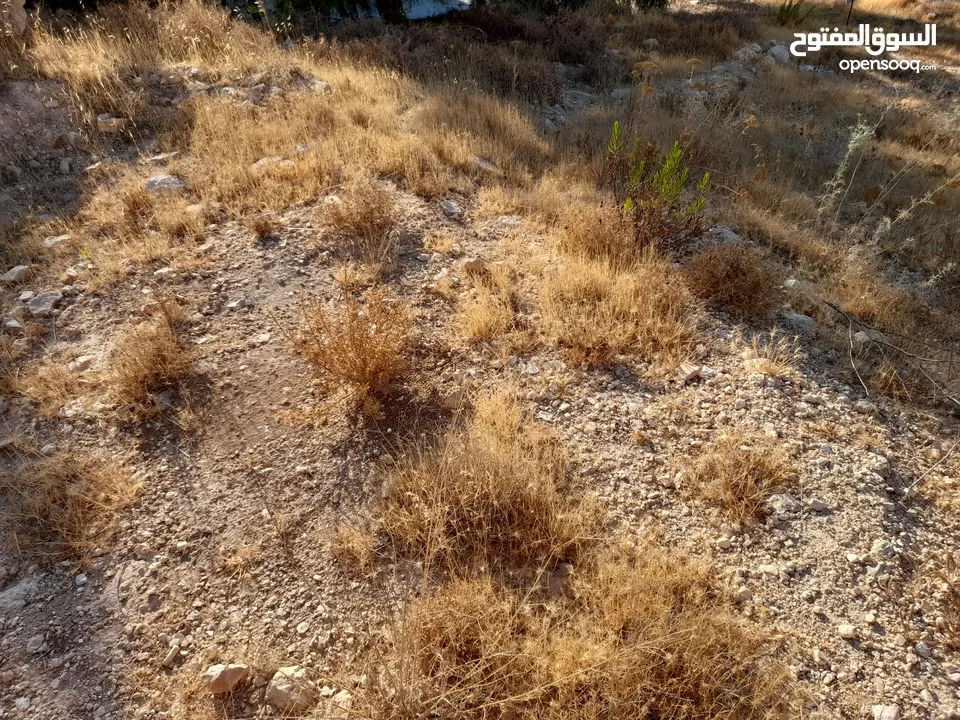 قطعة أرض مميزة للبيع  -ضاحية الحمر الراقية -عمان الغربية