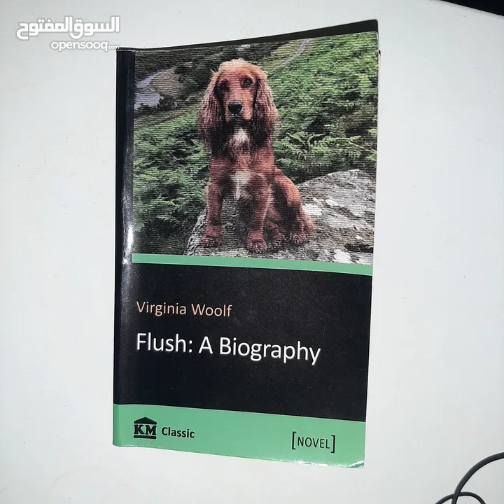 كتاب   بالغه الانجليزي