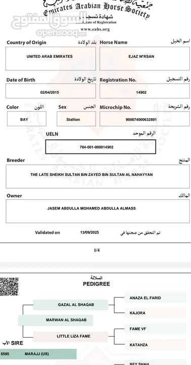 فحل سلالة أساطير الجمال الشقب