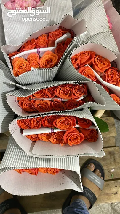 ورد جوري بالجمله وبوكيه بأسعار مغريه جدا