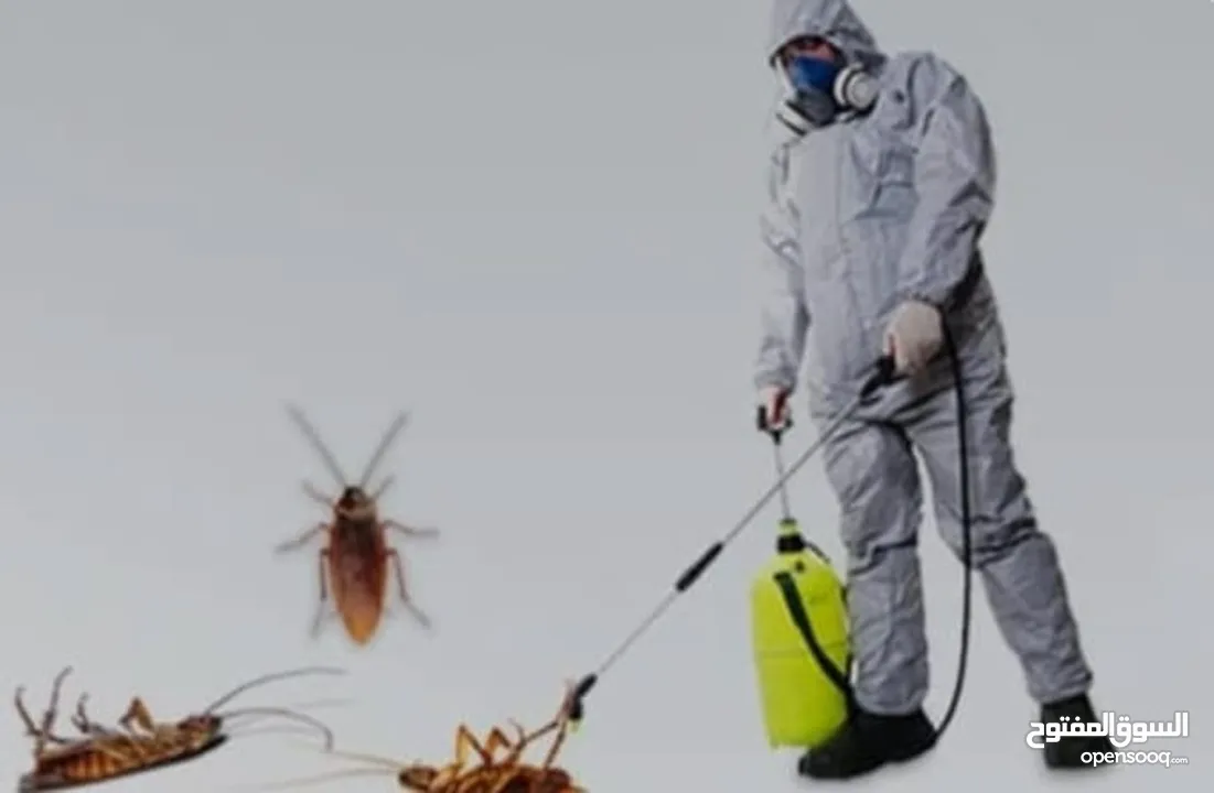 الفتاك لصيانه المباني ومكافحه  الحشرات Alfatak pest  control
