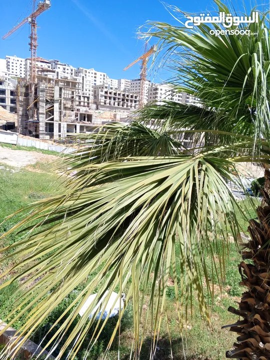 فيلا للبيع  البيادر قرب مسجد حسين خوجا في ارقى المناطق اول بدايه ابو السوس مقبل مشروع الجامعه الجديد