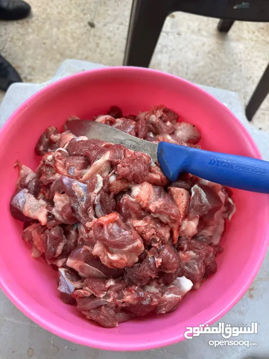 بسم الله جذار ذبح جميع الأضاحي خرفان عبور جدي نعاج تيوس